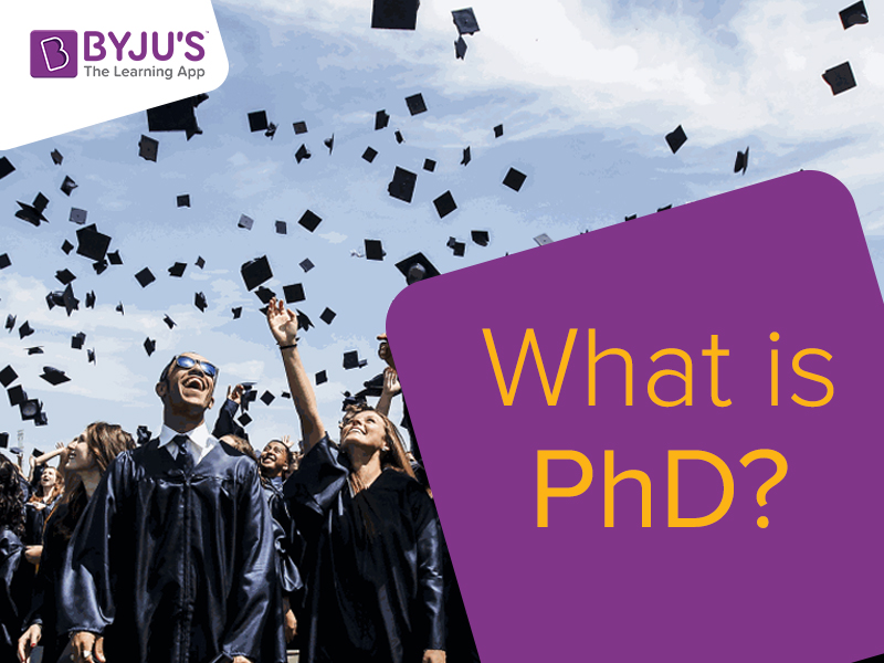 what is phd fellow