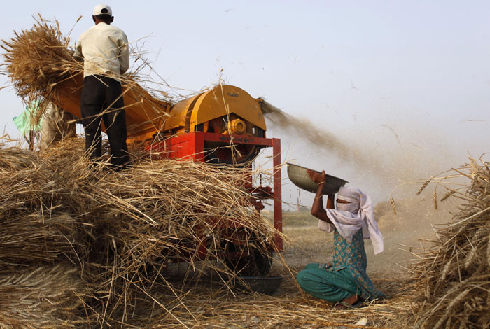 b_id_380572_wheat_harvesting_pics