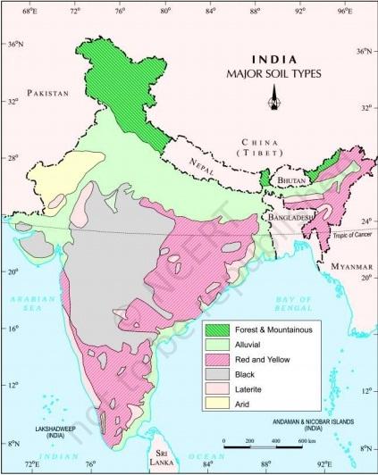 saline-and-alkaline-soils-in-india-are-also-called-as