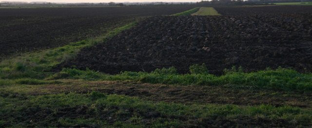 places where alluvial soil is found in india