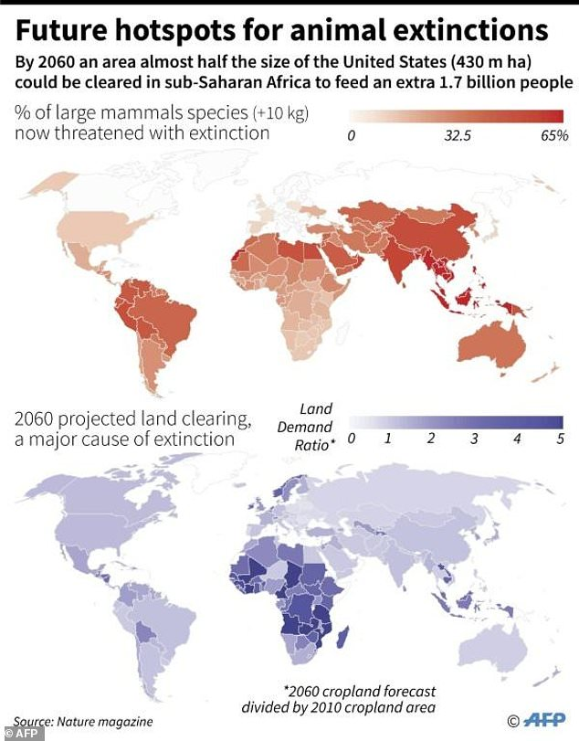 Animal extinctions