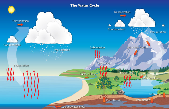 Hydrological Cycle