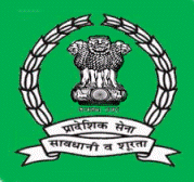 Indian Territorial Army Logo