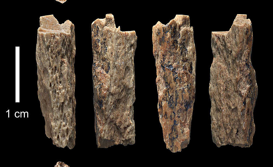 SCIENCE-ARCHEOLOGY-EVOLUTION-NEANDERTHAL-DENISOVAN
