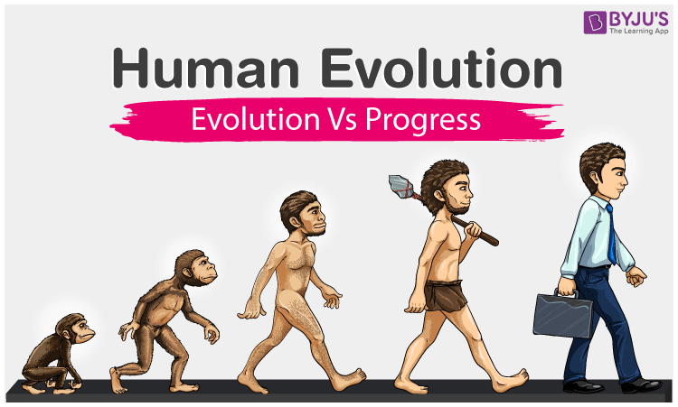 Human Race Evolution Chart