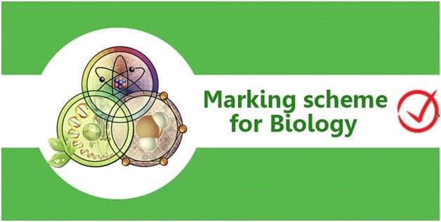 ICSE Marking Scheme for Biology Class 12