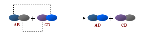 Displacement Reactions Displacement Reactions