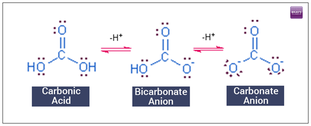 Bicarbonates - Structure, Uses, Health Effects of Bicarbonates with FAQs