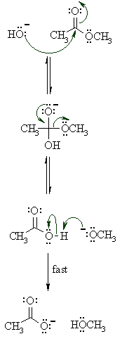 Ester Hydrolysis - Mechanism of Base Hydrolysis of Esters Ester Hydrolysis