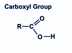 Carboxyl Group - Carboxylic Acids Carboxyl Group - Carboxylic Acids