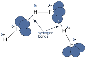 hydrophobic amino acids form hydrogen bonds with water