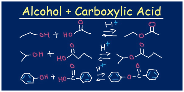 condensation reaction between alcohol and carboxylic acid