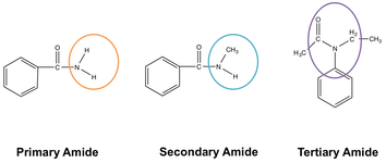 amide compound