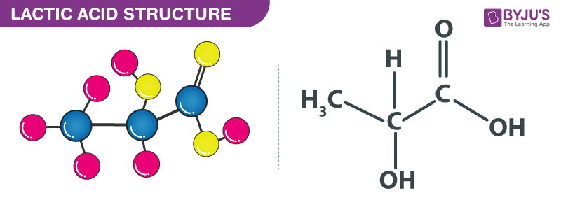 lactic acid