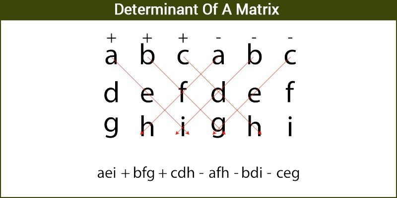 Determinant of a Matrix For Square Matrices with Examples