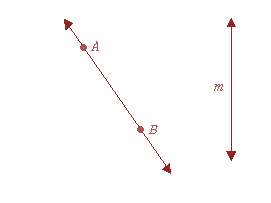 Line Segment