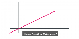 Linear Function