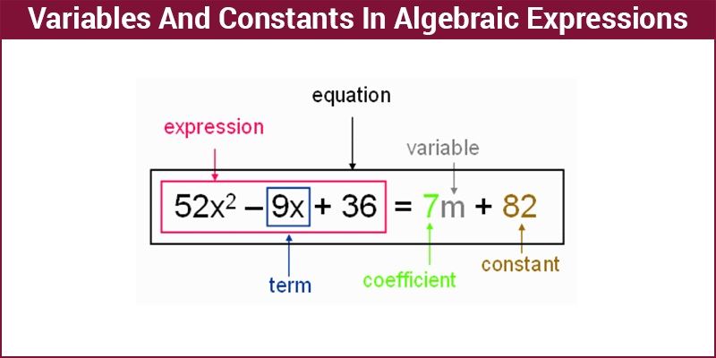 Variables and Constants in Algebraic Expressions