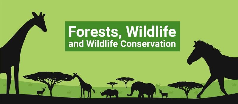 Conservation Of Forest And Wildlife | Wildlife Conservation