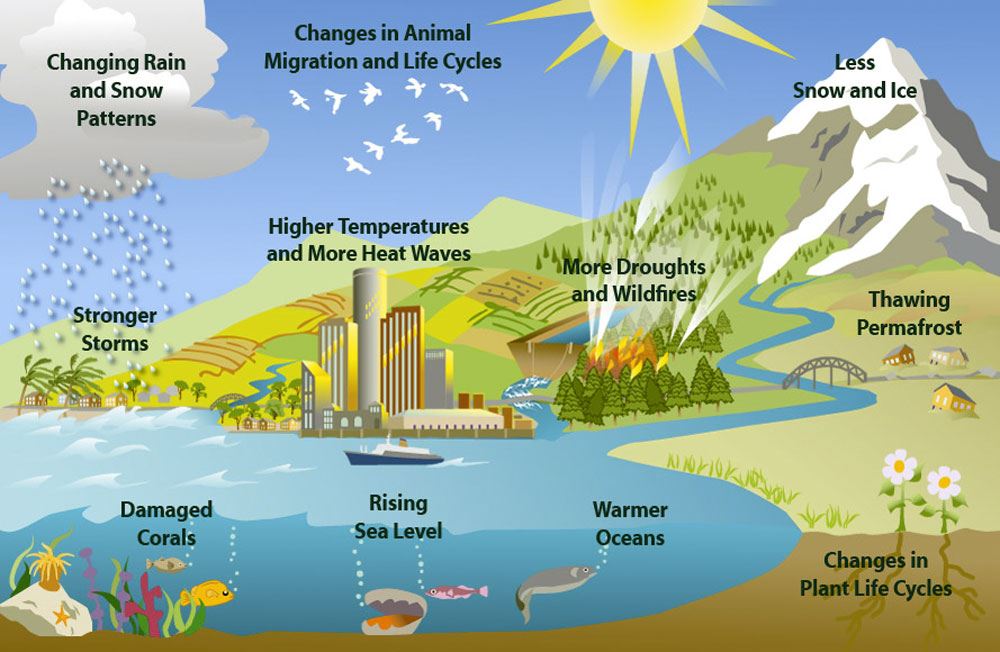 Natural Resources Conservation Types Importance Environmental Pollution