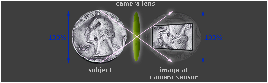 Macro Lens Macro Lens
