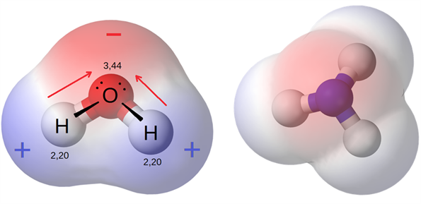 Polar molecule Polar molecule