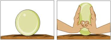 Interaction of Forces Interaction of Forces