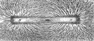 Magnetic Field Magnetic Field