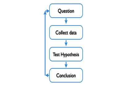 scientific method used in sociology