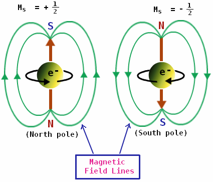 Spin-magnetic moment relation.