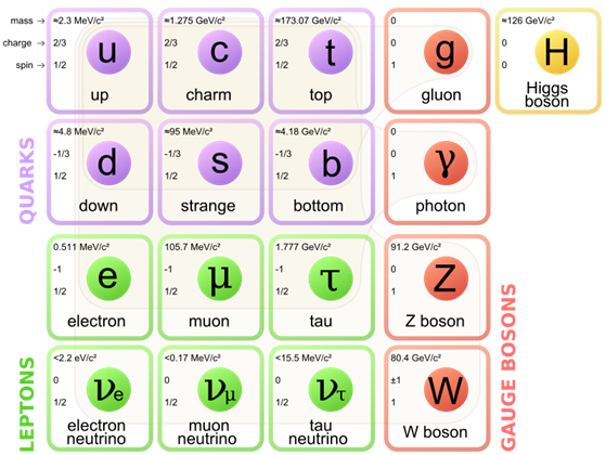 Particle Physics Standard Model