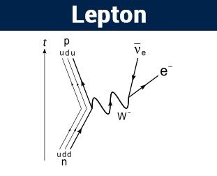Lepton Types Of Leptons And Uses Of Electron Muon Tauon