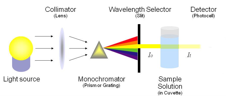 defekt Abnorm chauffør Optical Density - Optical Density Formula & Optical Density of  Spectrophotometer | BYJU'S