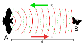 Application of Ultrasound