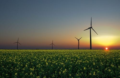 Wind Energy Farm (Renewable Resources of Energy) Wind Energy Farm (Renewable Resources of Energy)