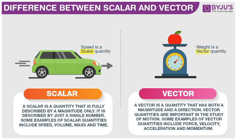 Difference Between Scalar and Vector