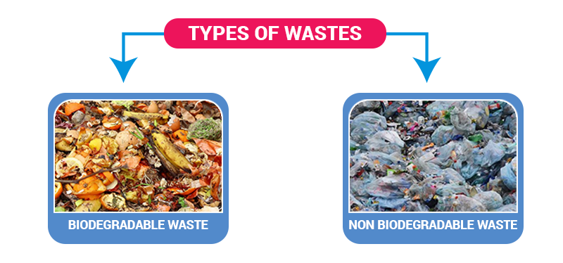 Biodegradable And Nonbiodegradable Chart