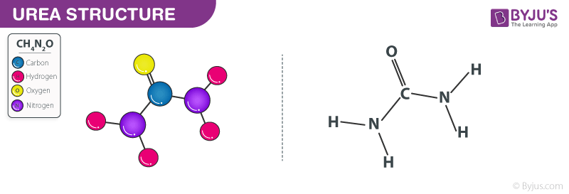 Urea structure