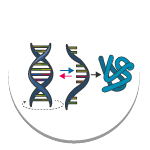 Central Dogma Central Dogma