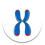 DNA DNA