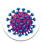 Viruses Viruses