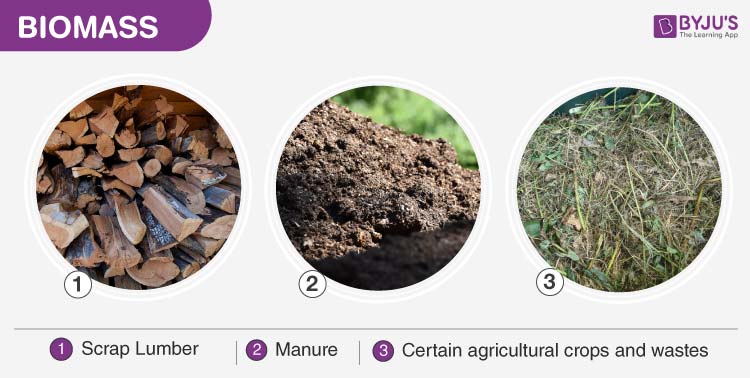 Biomass- Types, Uses, Merits and Demerits of Biomass