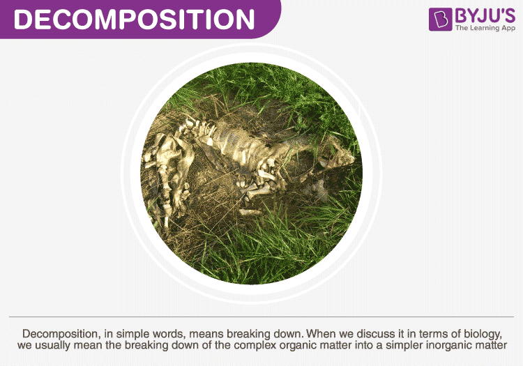 Example of the decomposition method, taken from the Benoni Defense