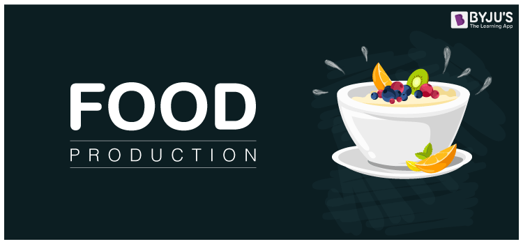 Food Production Different Types And Methods Of Food Production