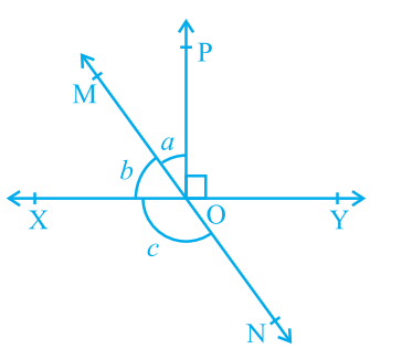 Lines And Angles Class 9 Concept Map