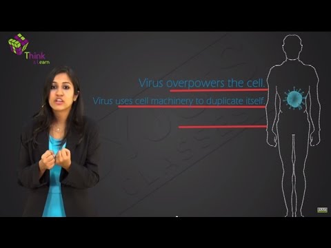 Microbodies - Structure and Functions of Microbodies in a Cell