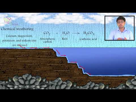 chemical weathering carbon dioxide diagram