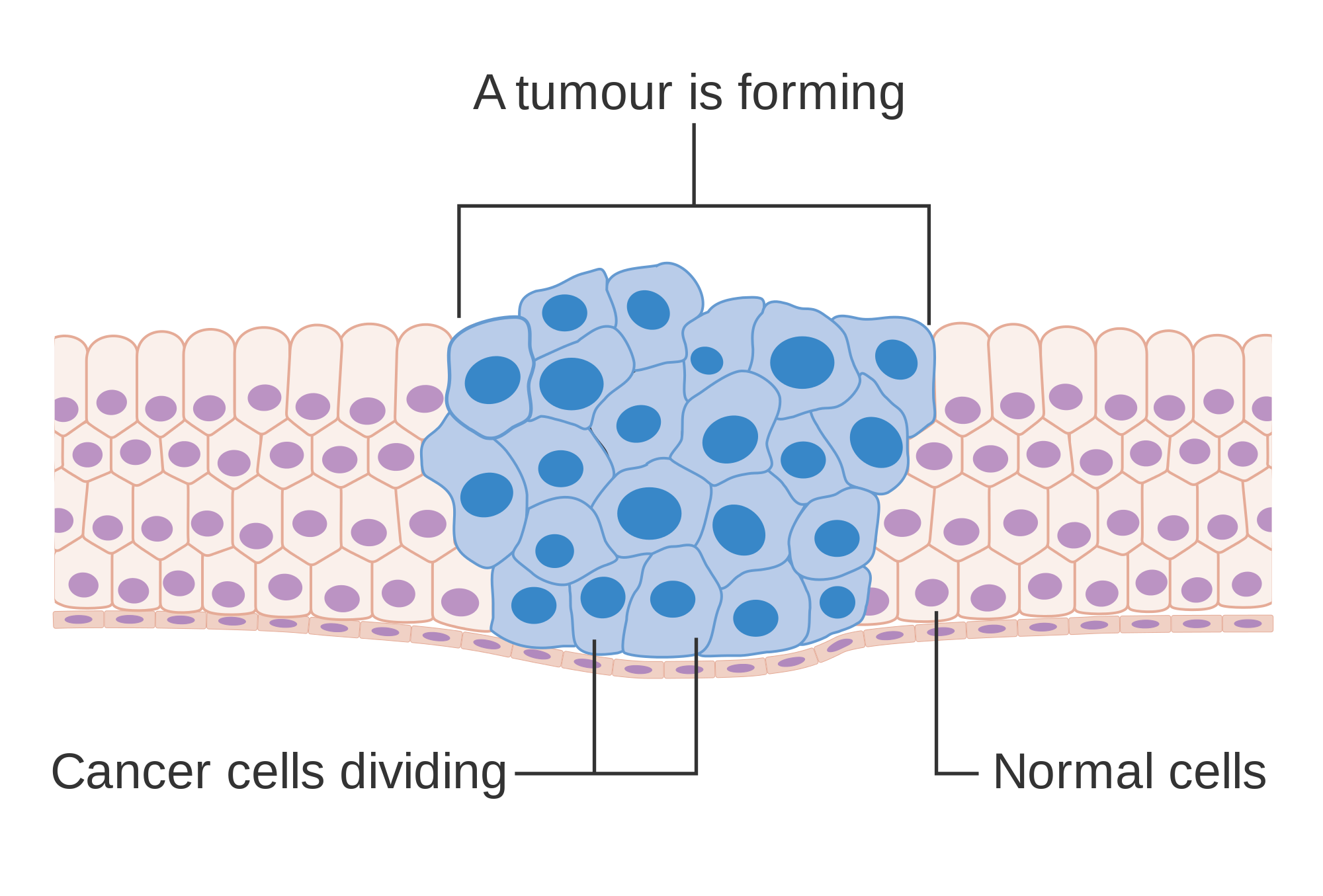 Carcinogenic Substances- Harmful Effects | Cancer Causes | BYJU'S