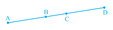 Introduction to Euclid’s Geometry Class 9 Notes: Chapter 5