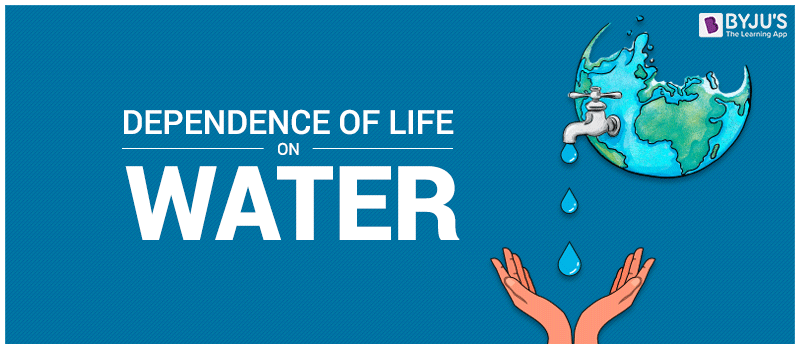 Dependence Of Life On Water